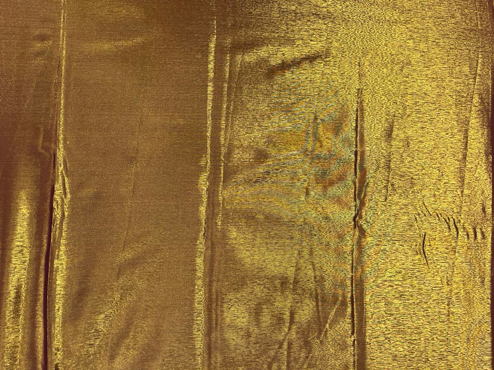 Elegant Green Tissue Saree with Rich Purple Border