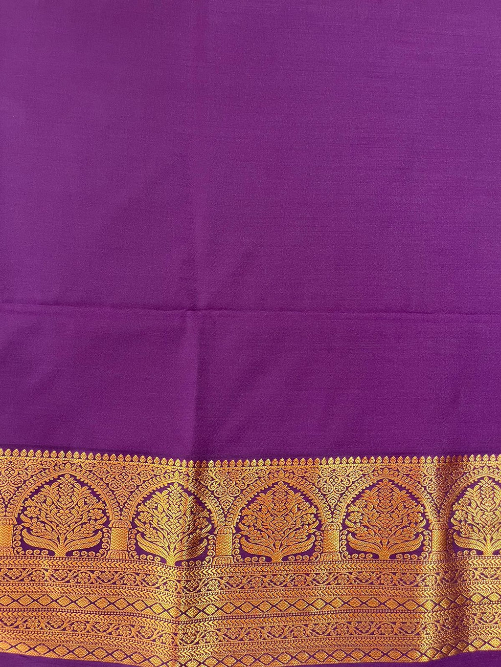 Graceful Sky Blue Tissue Saree with Purple Border