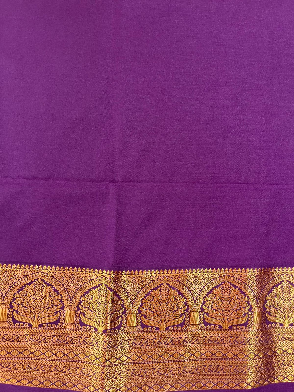 Graceful Sky Blue Tissue Saree with Purple Border